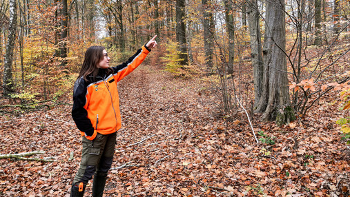 Forstwirtschaft und Klimawandel - Patricia Stichling Foto zum Thema Forstwirtschaft und Klimawandel: Zu sehen ist Försterin Patricia Stichling, die mit dem Finger in Richtung Baumkrone zeigt.