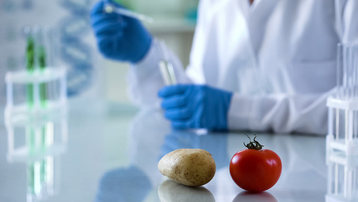 Lebensmittelüberwachung - Beschäftigte mit Pöbeleien und Gewalt konfrontiert Foto zum Thema "Lebensmittelüberwachung": Zu sehen sind eine Kartoffel und eine Tomate im Vordergrund, die auf einem Labortisch liegen. Im Hintergrund führt jemand, der einen weißen Kittel trägt, mit Reagenzglas und Pipette Untersuchungen durch.