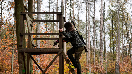 Welche Bedeutung hat die Jagd für den Gesundheitszustand des Waldes?