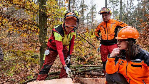 Forstwirtschaft und Klimawandel - Stockbild Foto zum Thema Forstwirtschaft und Klimawandel: Zu sehen ist Patricia Stichling, wie sie das Stockbild eines Stammes kontrolliert. Drumherum stehen Forstarbeiter.