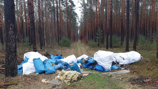 Foto zum Thema "illegale Müllentsorgung": Zu sehen sind Müllsäcke, die im Wald zurückgelassen wurden.